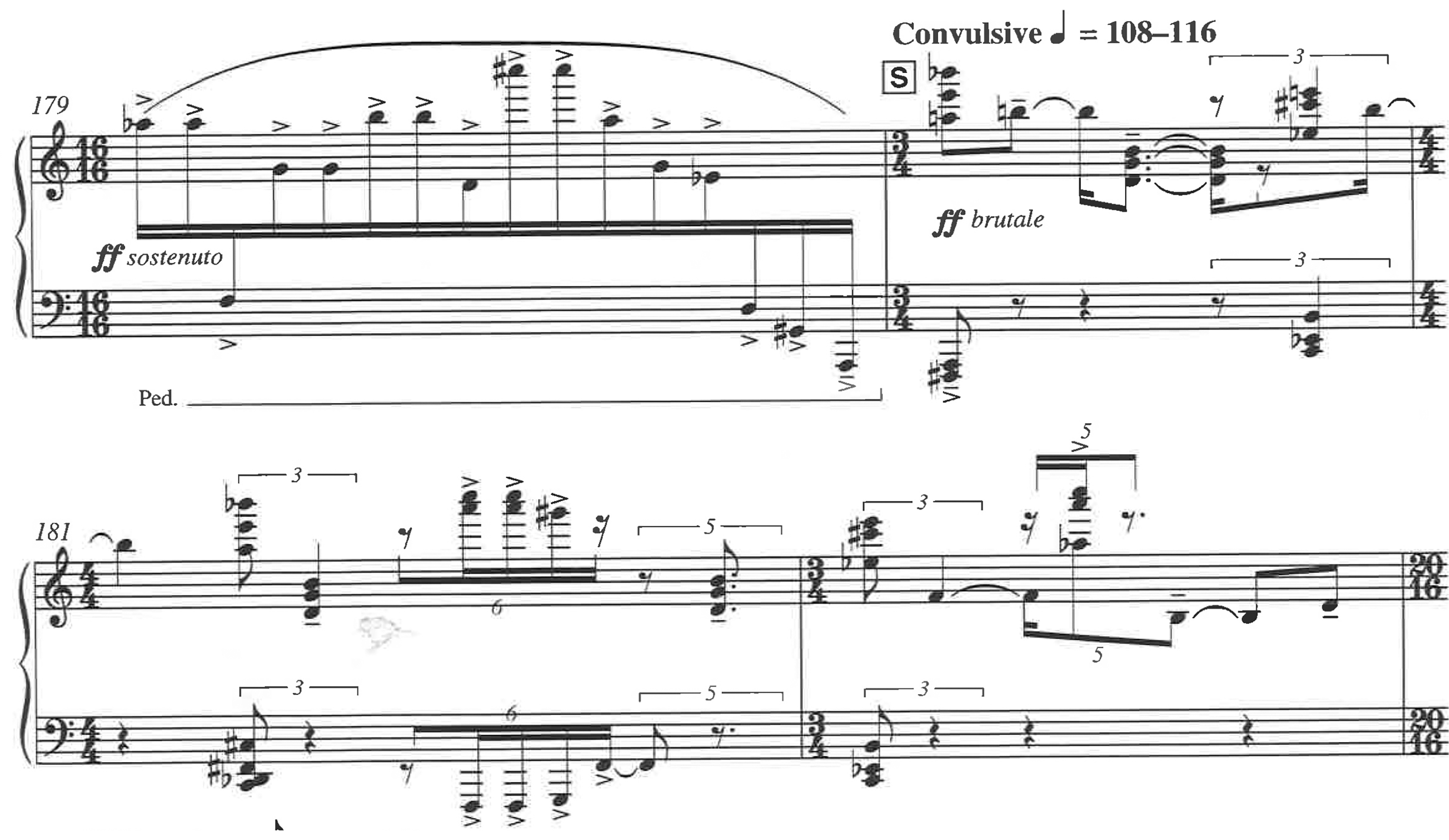 Hyla Basic Training at letter S