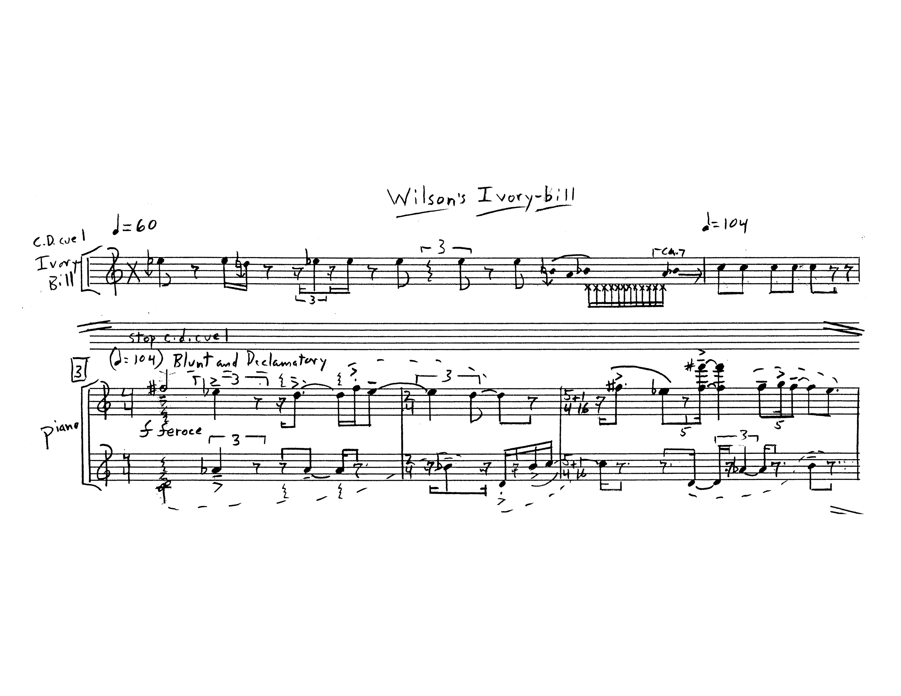 Hyla Wilson's Ivory-Bill