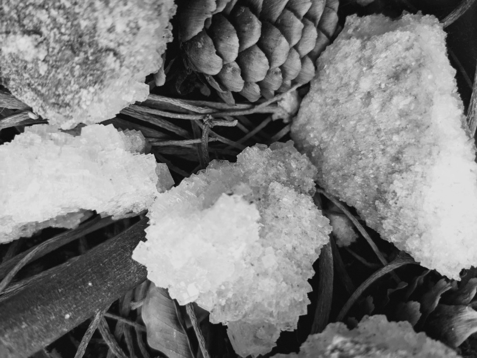 Life Katie Porter 03