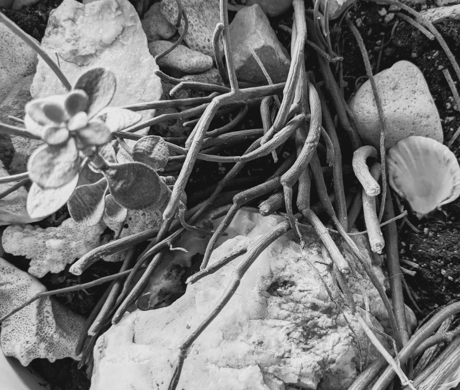 Life Katie Porter 07