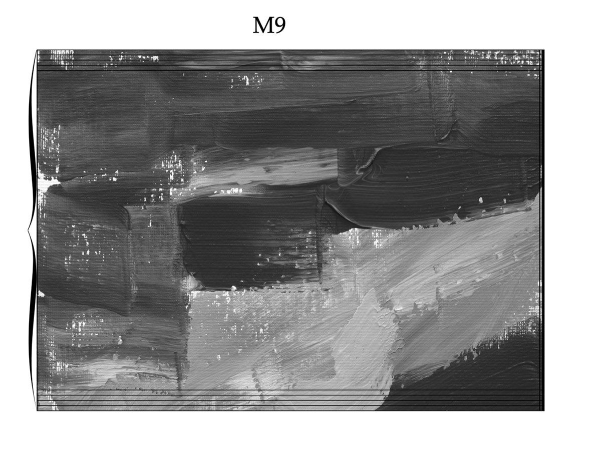 The Living Collection: Open Edition (M9)